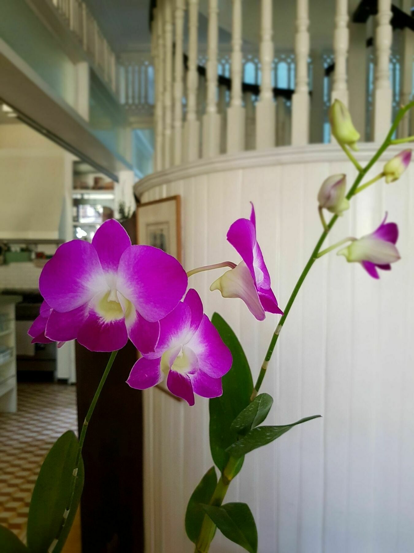 Charming La Casita Mercedes, 5Br And 5Tb For Family And Friends Staycation Makati City Ngoại thất bức ảnh